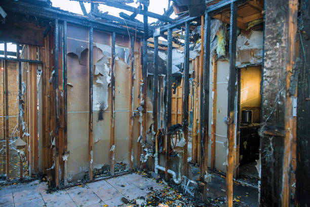 Professional Smoke Damage Removal technician working in Hampton, VA